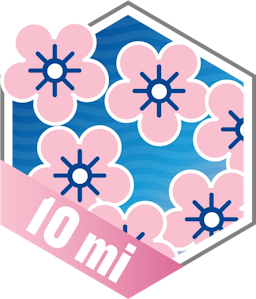 Cherry Blossom 10 Mile 2019