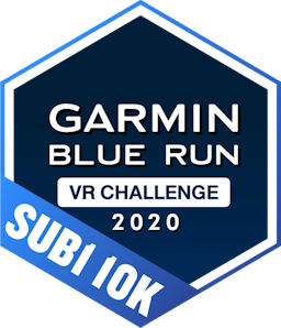 Garmin Blue Run Sub 1 2020